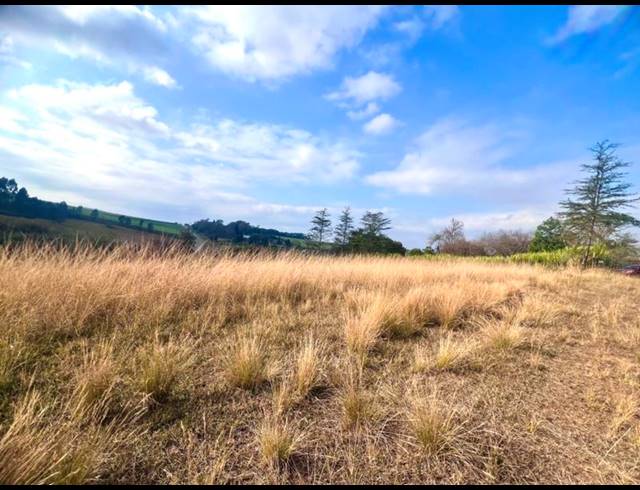 LAND FOR SALE IN BISHOPSTOWE